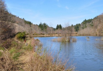 Propriété de chasse Propriété de Chasse à vendre