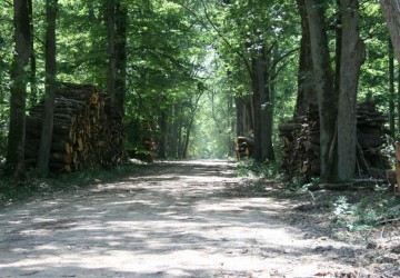 Propriété de chasse Enclos de Chasse à vendre
