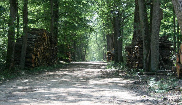 Propriété de chasse Enclos de Chasse à vendre