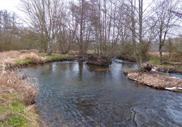 Propriété de chasse Territoire de Chasse à vendre