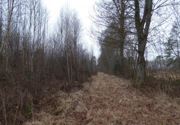 Propriété de chasse Territoire de Chasse à vendre