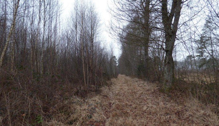 Propriété de chasse Territoire de Chasse à vendre