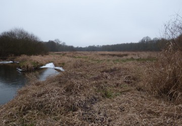 Propriété de chasse Territoire de Chasse à vendre