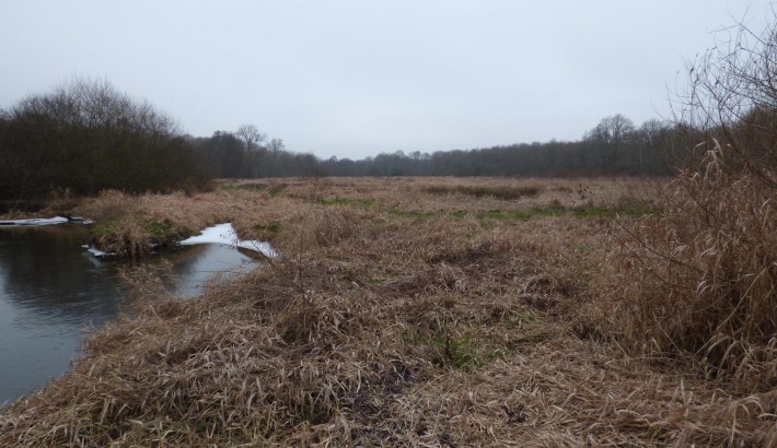 Propriété de chasse Territoire de Chasse à vendre