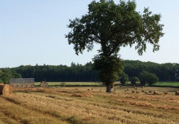 Propriété de chasse Propriété de Chasse à vendre