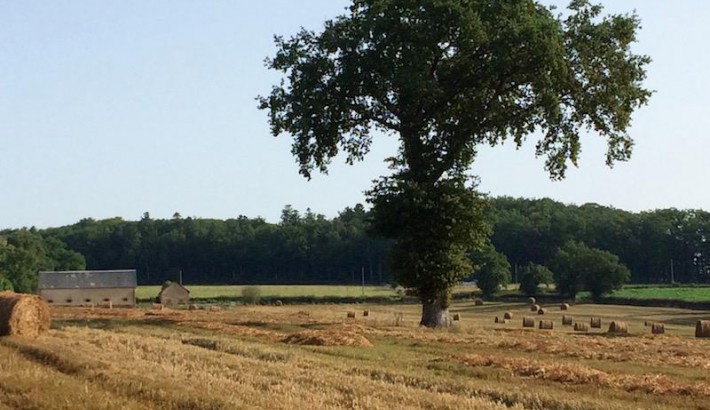 Propriété de chasse Propriété de Chasse à vendre