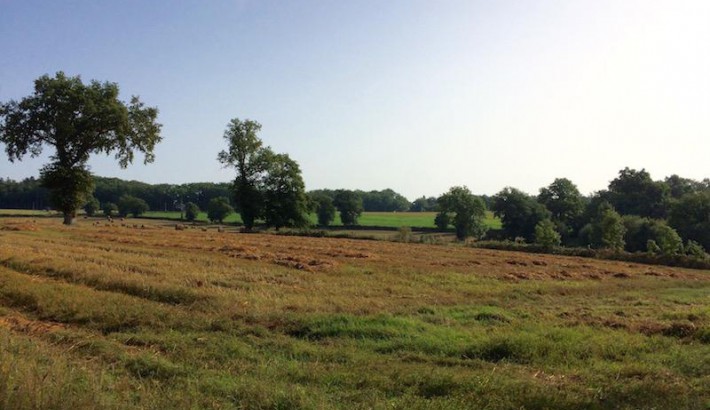 Propriété de chasse Propriété de Chasse à vendre