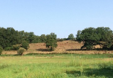 Propriété de chasse Propriété de Chasse à vendre