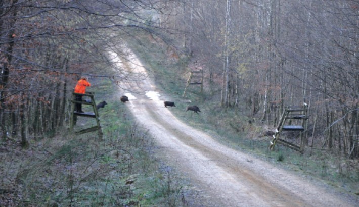 Propriété de chasse Parc de Chasse à vendre