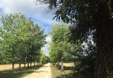 Propriété de chasse Parc de Chasse à vendre