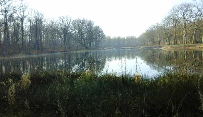 Propriété de chasse Territoire de Chasse à vendre