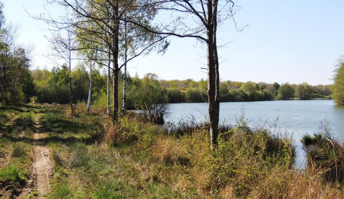 Propriété de chasse Propriété de Chasse à vendre