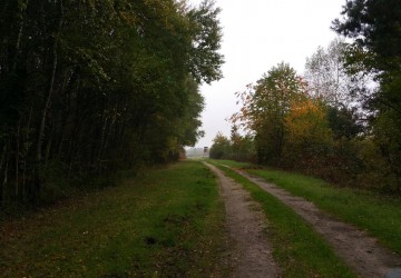 Propriété de chasse Propriété de Chasse à vendre