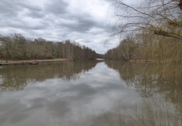 Propriété de chasse Propriété de Chasse à vendre