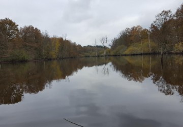 Propriété de chasse Propriété de Chasse à vendre