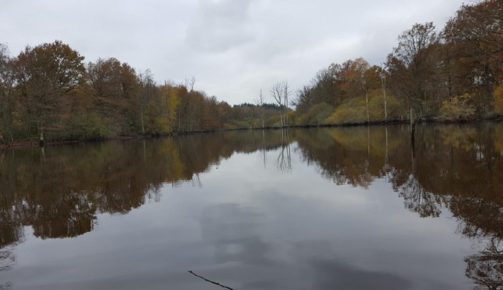 Propriété de chasse Propriété de Chasse à vendre