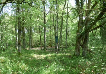 Propriété de chasse Propriété de Chasse à vendre