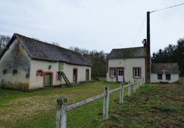 Propriété de chasse Forêt à vendre