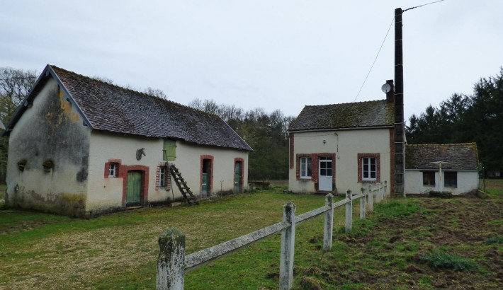 Propriété de chasse Forêt à vendre