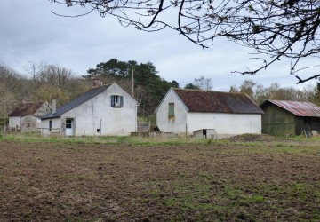 Propriété de chasse Forêt à vendre