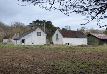 Propriété de chasse Forêt à vendre