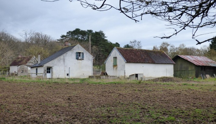 Propriété de chasse Forêt à vendre