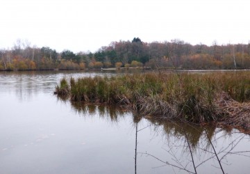 Propriété de chasse Propriété de Chasse à vendre
