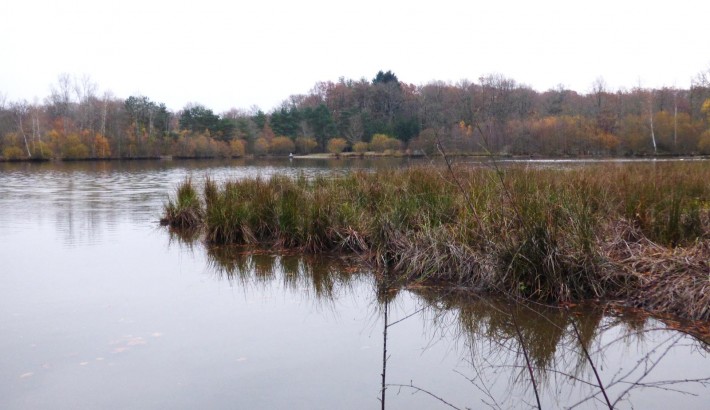 Propriété de chasse Propriété de Chasse à vendre