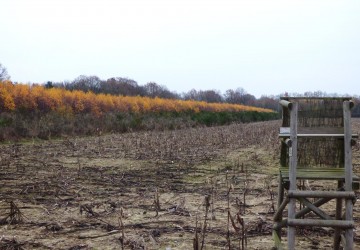 Propriété de chasse Propriété de Chasse à vendre
