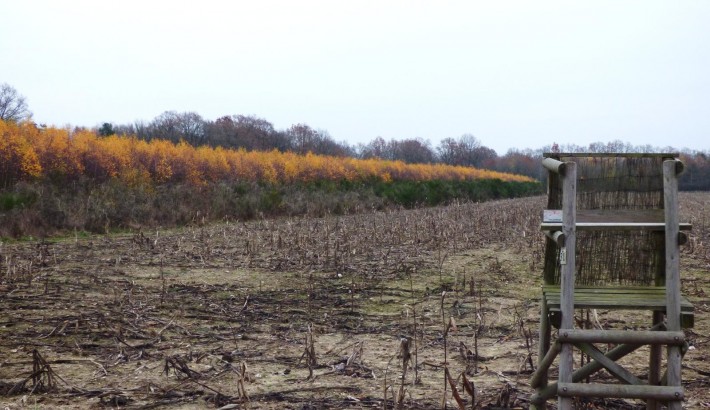 Propriété de chasse Propriété de Chasse à vendre