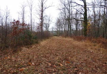 Propriété de chasse Propriété de Chasse à vendre