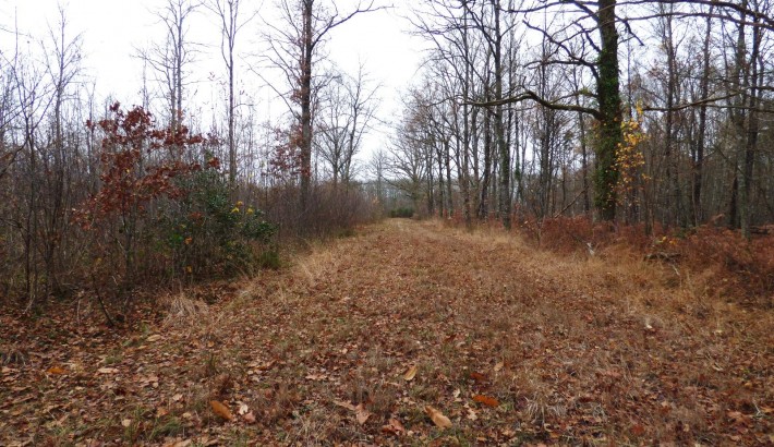 Propriété de chasse Propriété de Chasse à vendre