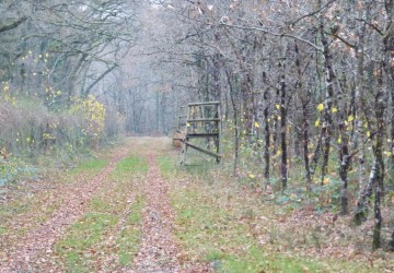 Propriété de chasse Propriété de Chasse à vendre