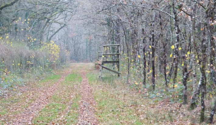 Propriété de chasse Propriété de Chasse à vendre