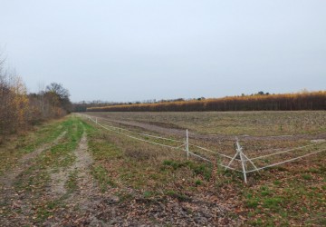 Propriété de chasse Propriété de Chasse à vendre