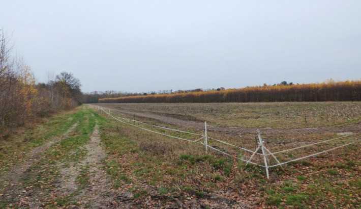 Propriété de chasse Propriété de Chasse à vendre