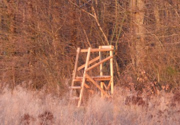 Propriété de chasse Propriété de chasse à vendre