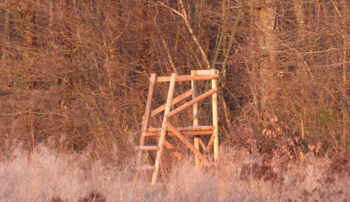 Propriété de chasse Propriété de chasse à vendre