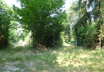 Propriété de chasse Propriété de chasse à vendre