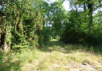 Propriété de chasse Propriété de chasse à vendre