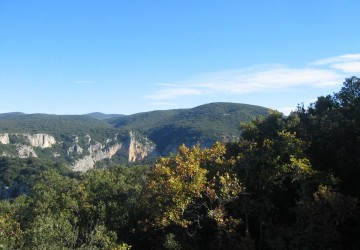 Propriété de chasse Propriété de Chasse à vendre