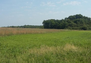 Parc de Chasse à vendre