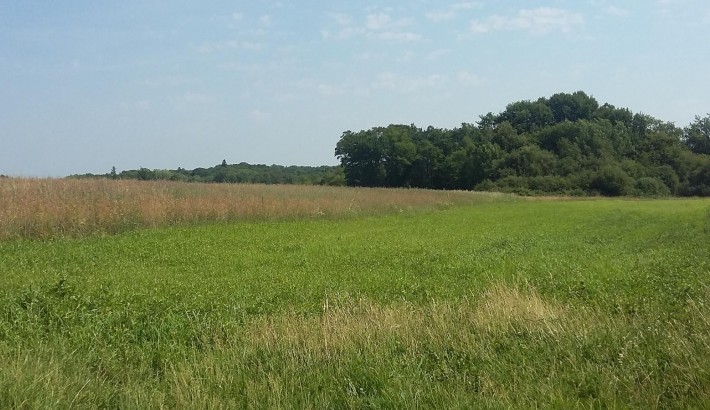 Propriété de chasse Parc de Chasse à vendre