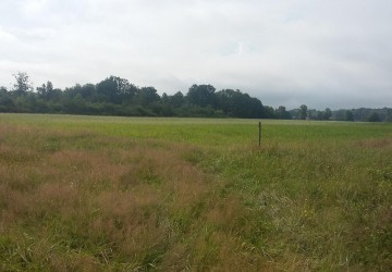 Propriété de chasse Parc de Chasse à vendre