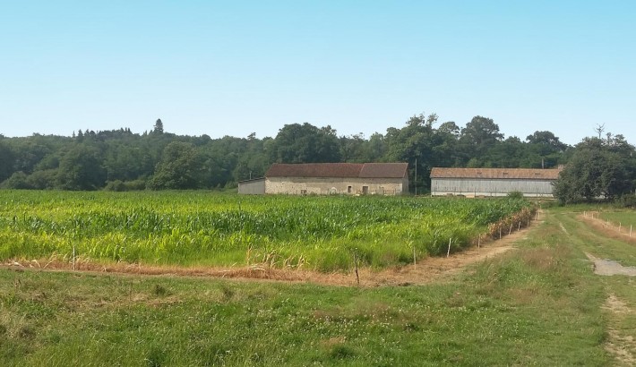 Propriété de chasse Parc de Chasse à vendre