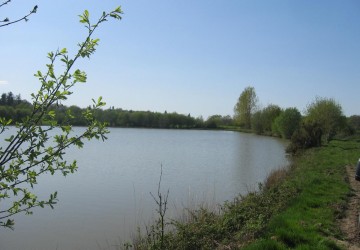 Propriété de chasse Parc de Chasse à vendre