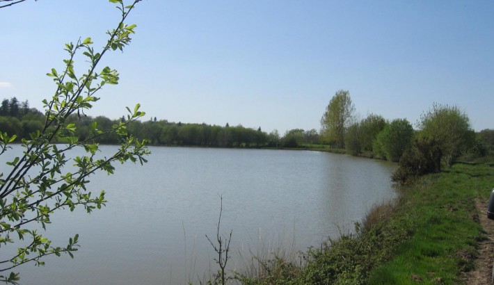 Propriété de chasse Parc de Chasse à vendre