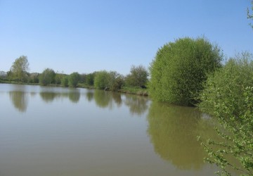 Propriété de chasse Parc de Chasse à vendre