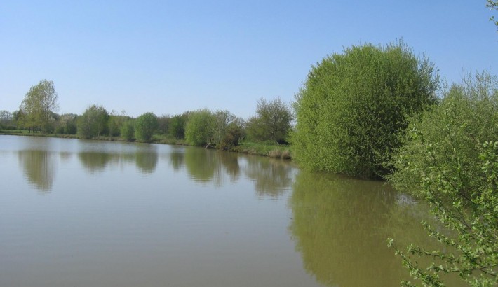 Propriété de chasse Parc de Chasse à vendre