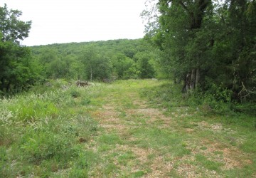 Propriété de chasse Propriété de Chasse à vendre